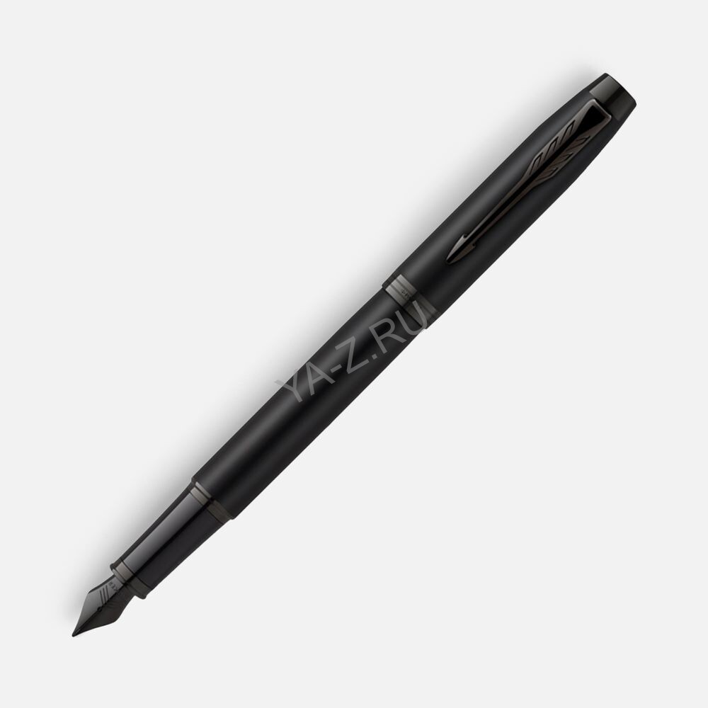 Ручка перьевая Parker IM Achromatic Black, черная