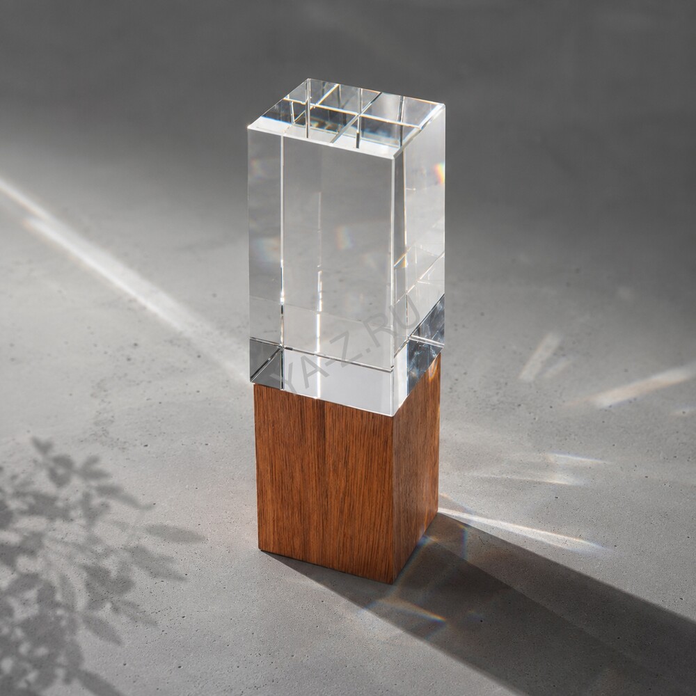 Награда «Wood and glass»