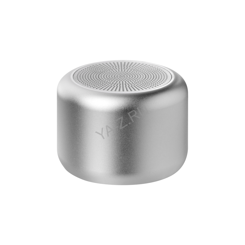 Беспроводная колонка Пэшн (Passion) 80dB 600 mAh (Bluetooth 5.4), серебряная