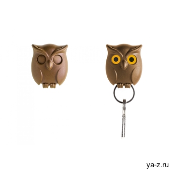 Брелок для ключей Night Owl