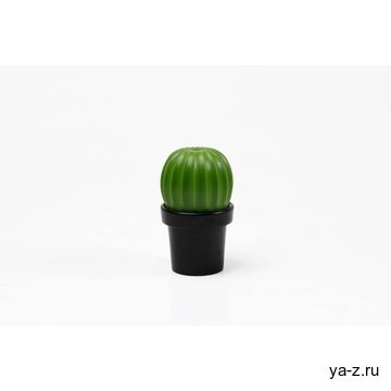 МЕЛЬНИЦА ДЛЯ СПЕЦИЙ Tasty Cactus
