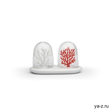 Солонка и перечница Coral Bleaching