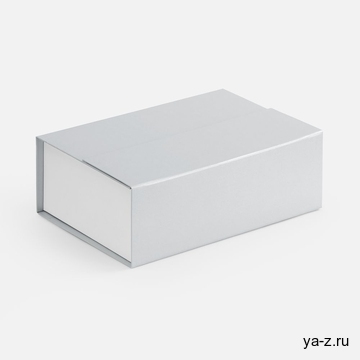 Коробка Bicolor Case, белая с серым