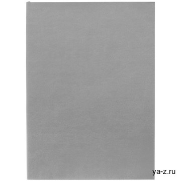Ежедневник Flat Light, недатированный, серый
