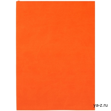 Ежедневник Flat Light, недатированный, оранжевый