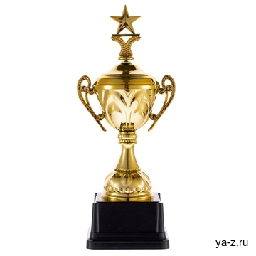 Кубок Top Star, золотистый