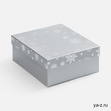 Коробка Wintry, серебристая