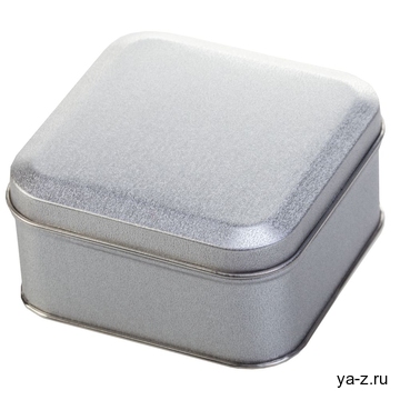 Коробка Pragmax S, квадратная, серебристая