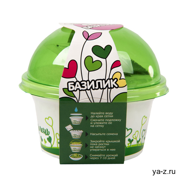 Комплект для выращивания. "Моя микрозелень": БАЗИЛИК