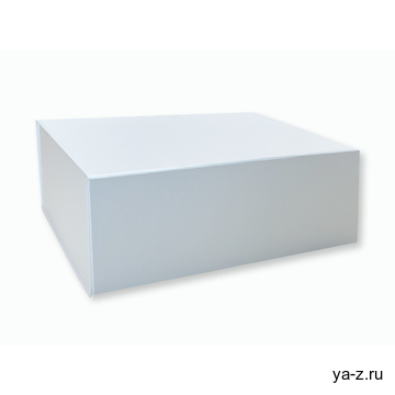 Подарочная коробка с магнитом (большая 330x250x120 мм)