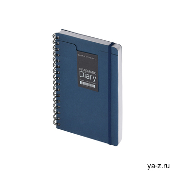 Ежедневник недатированный А5 «Pragmatic»