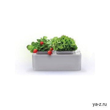 Компактный смарт-сад «iGarden»