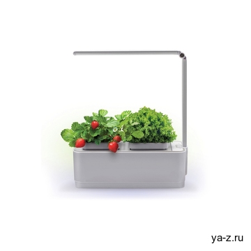 Компактный смарт-сад «iGarden LED» с подсветкой