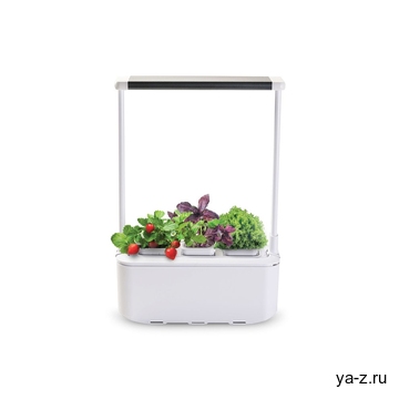 Компактный смарт-сад «iGarden PRO» с подсветкой